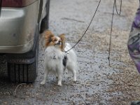 DSC 4220 DxO