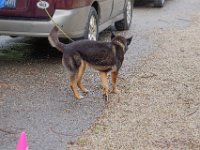 DSC 4356 DxO