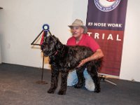DSC 4319D600 DxO