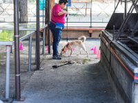 DSC 4523 DxO