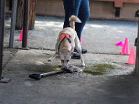 DSC 4524 DxO