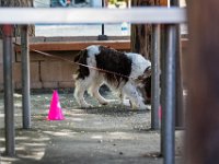 DSC 4540 DxO