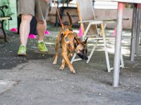 DSC 4608 DxO