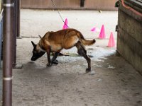 DSC 4701 DxO