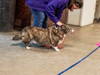 DSC 4223D600 DxO