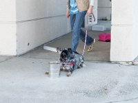 DSC 7439