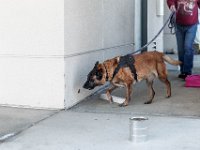 DSC 7453