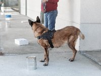 DSC 7459