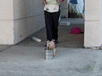 DSC 7463