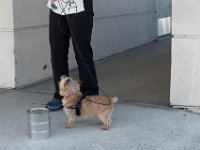 DSC 7472
