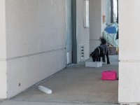 DSC 7478