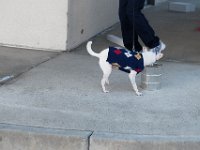 DSC 7487