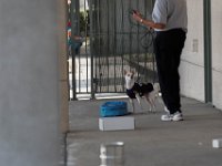 DSC 7489
