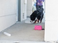 DSC 7492