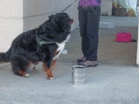 DSC 7495