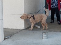 DSC 7504