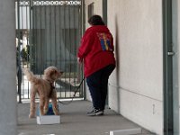 DSC 7507