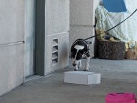 DSC 7511