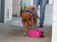 DSC 7524