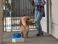 DSC 7528