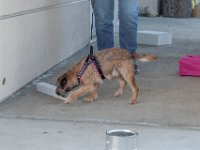 DSC 7532