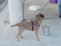 DSC 7538