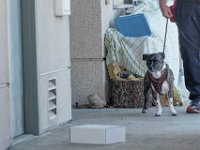 DSC 7543