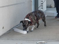 DSC 7545