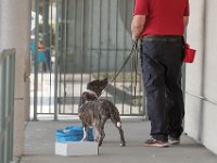 DSC 7550