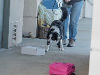 DSC 7554