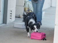 DSC 7555