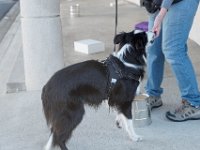 DSC 7561