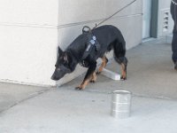 DSC 7571