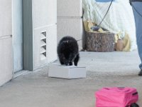 DSC 7577