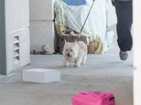 DSC 7580