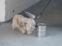 DSC 7582