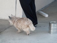 DSC 7584