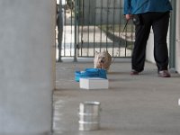 DSC 7585