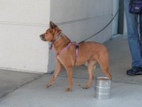 DSC 7590