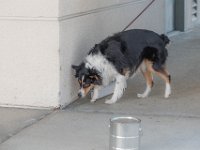 DSC 7602