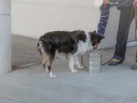 DSC 7604