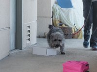 DSC 7611