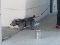 DSC 7612