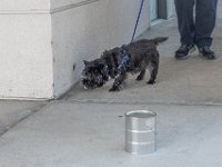 DSC 7634