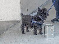DSC 7636