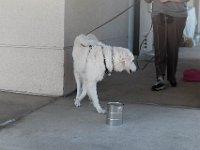 DSC 7646