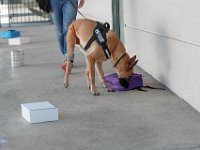 DSC 7659