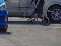 DSC 0032