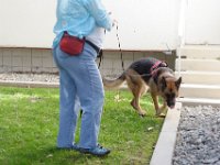 DSC 0431
