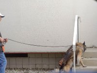 DSC 0461